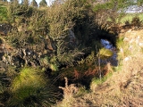 Water race in a rocky cutting as it rounds a small ridge nearing McKinney Road. 2006.